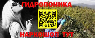 соль ск Гатчина