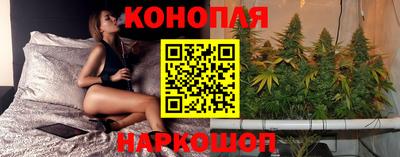 соль ск Гатчина