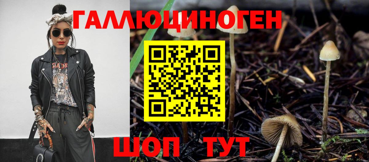 Новоалтайск  Галлюциногенные грибы ЛСД  Псилоцибиновые грибы Magic Shrooms  Вход с VPN 