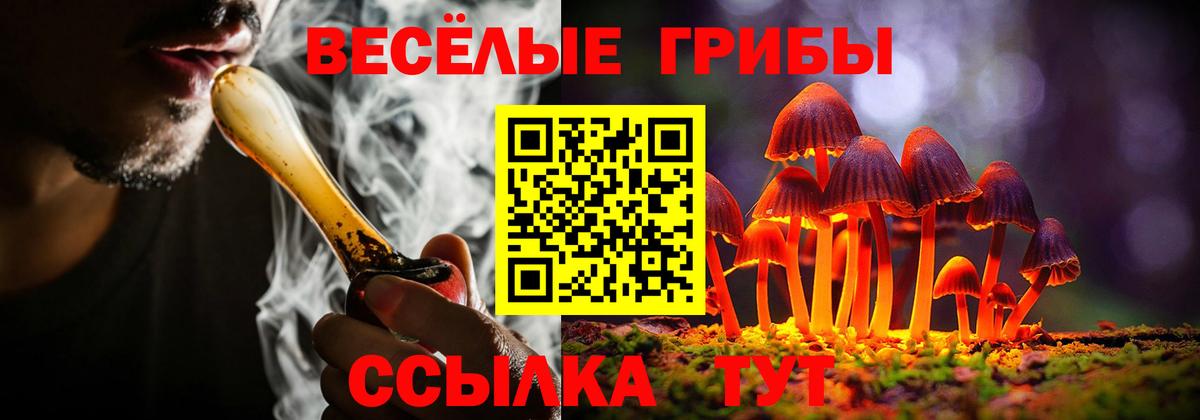 Галлюциногенные грибы мицелий Новоалтайск